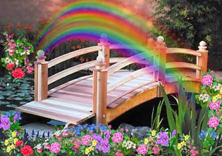 rainbow bridge home euthanasia